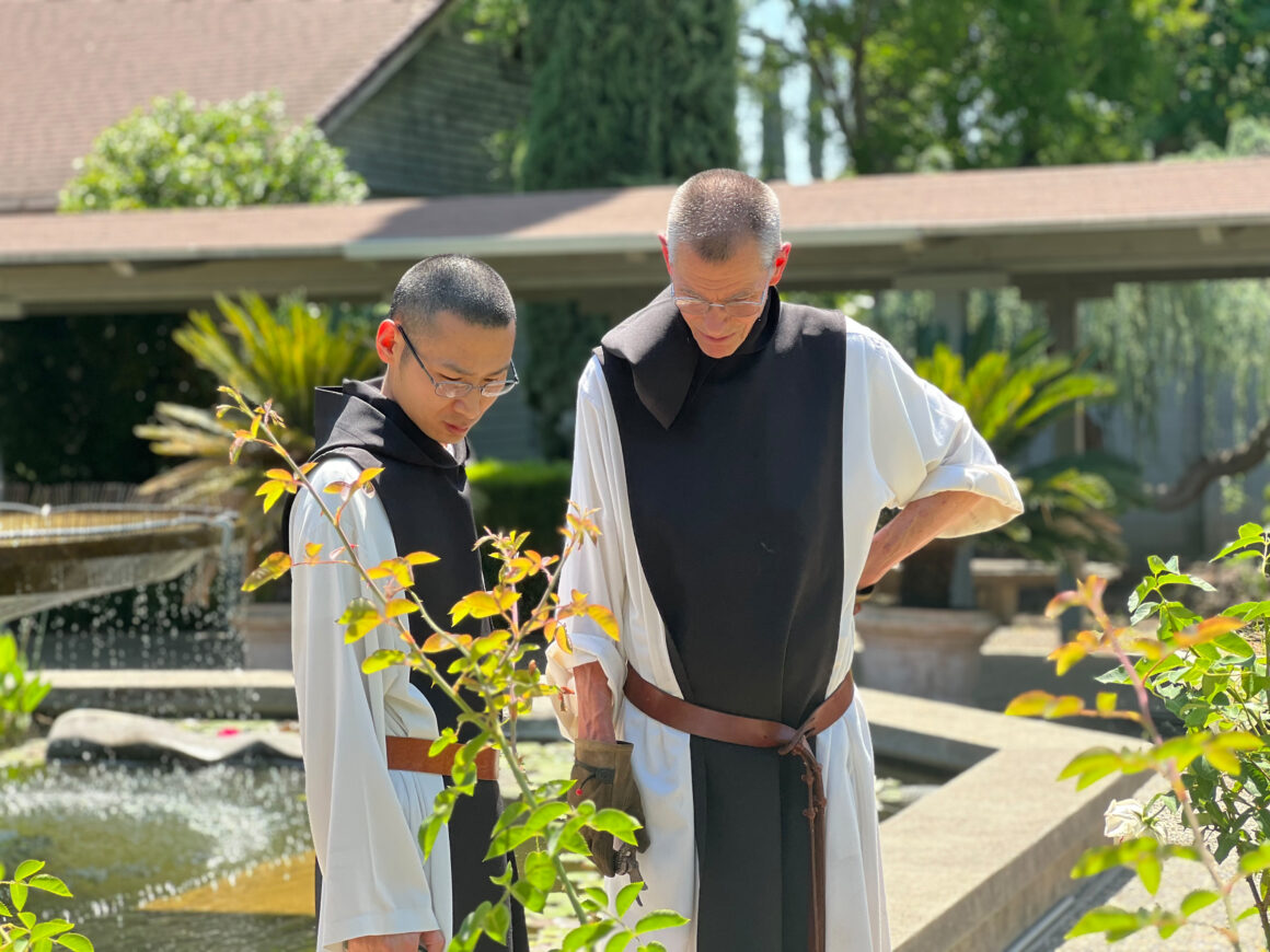 Two monks looking at the foliage
